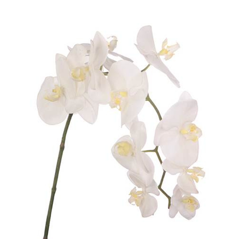 Real Touch Phalaenopsis Orchids Cream 99cm Artificial Flowers 9626